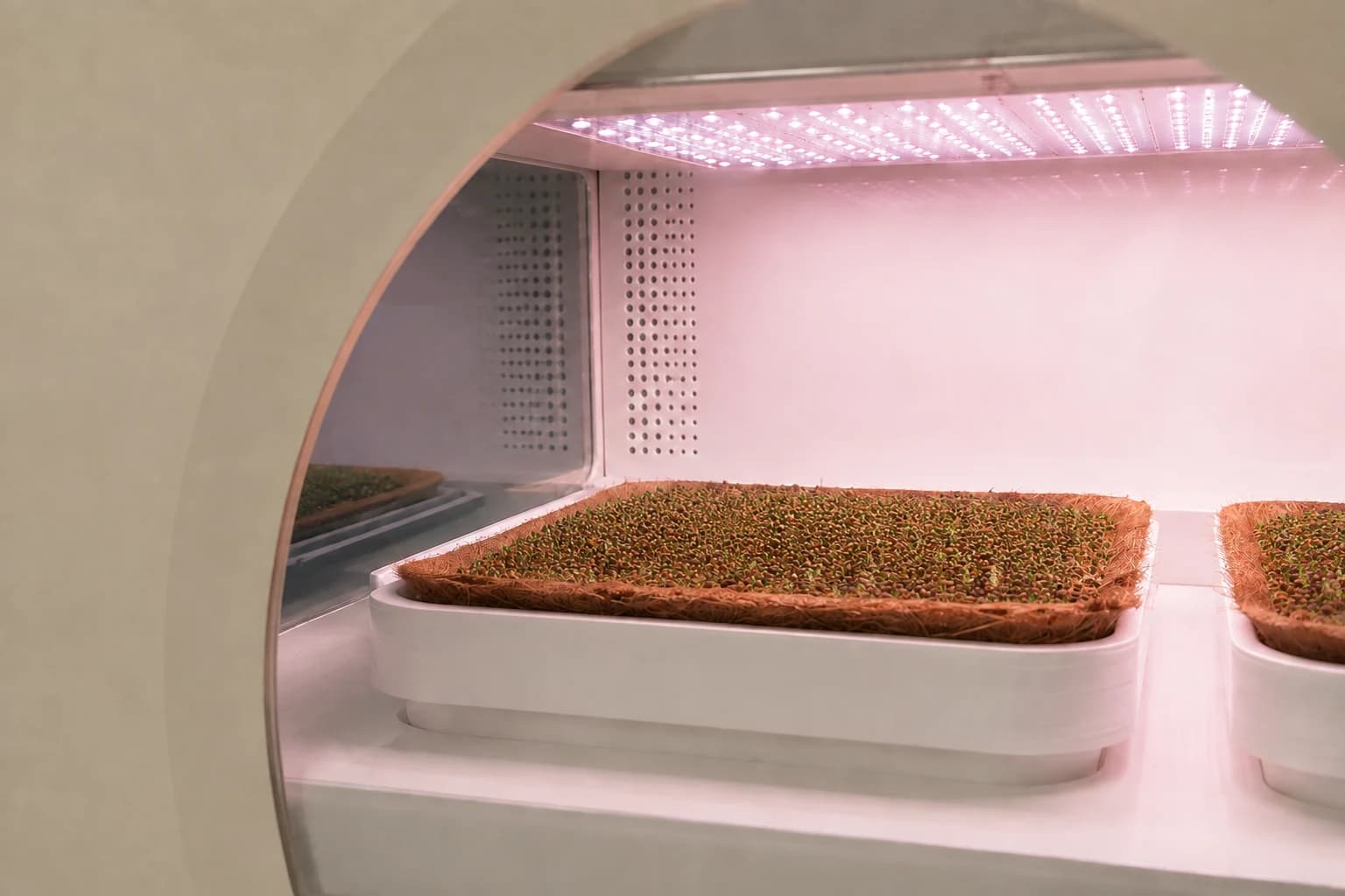 View through the Luya machine window: broccoli growing inside the illuminated chamber, day 02 — generated concept